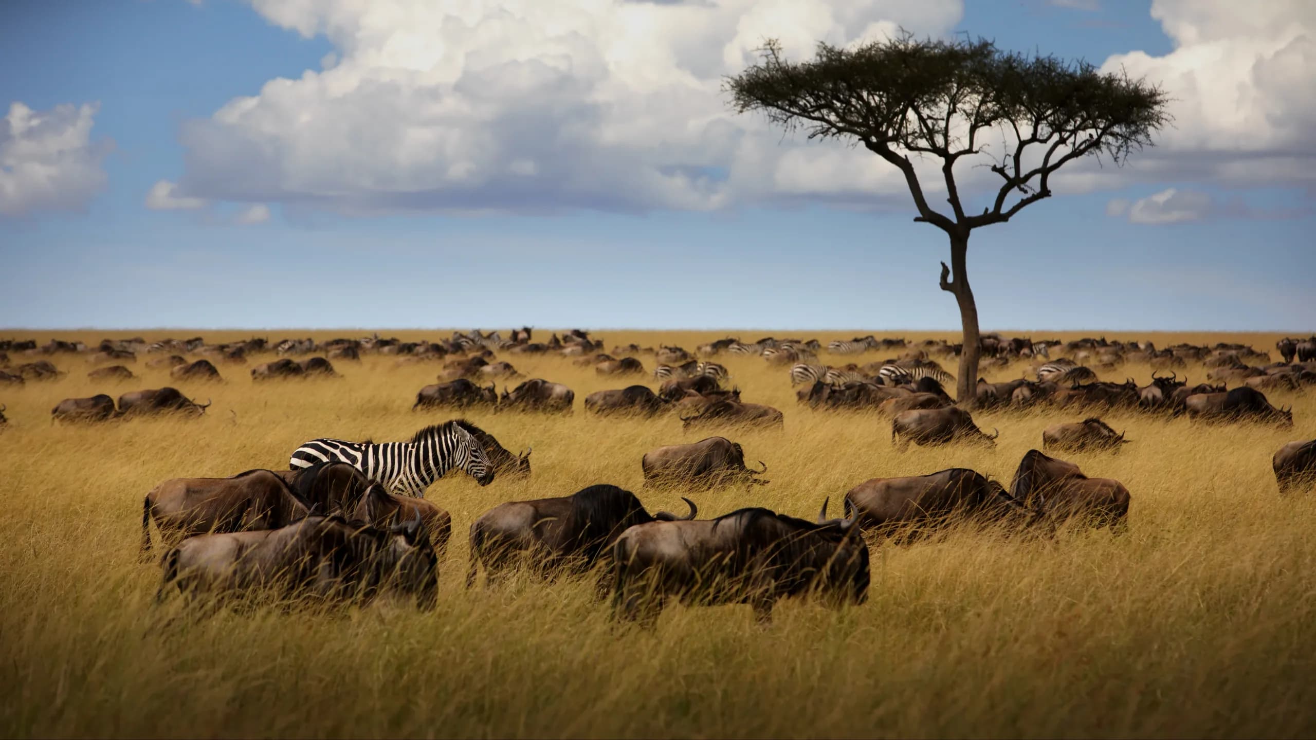 Lake Eyasi, Tanzania
